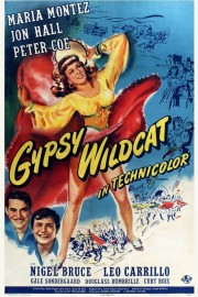 Gypsy Wildcat