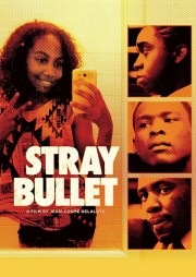 Stray Bullet